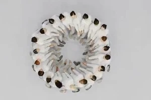 Nghệ thuật trao đổi danh thiếp vô cùng “vi diệu” của người Nhật