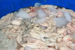 Hãi hùng cảnh ‘hô biến’ lòng heo thối thành tươi mới