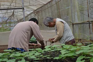 Mang tình yêu nông nghiệp hữu cơ qua đất Việt