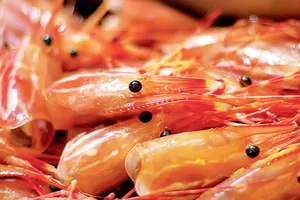 Ăn vỏ tôm lợi hay hại?