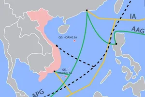 Cáp quang biển quốc tế AAG vừa gặp sự cố