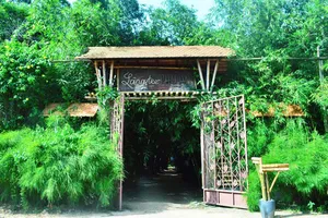 Cùng Canon và Uber khám phá những “viên ngọc ẩn” 