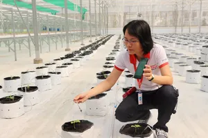 QTSC muốn trở thành mẫu đô thị thông minh đầu tiên