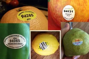 Đừng bao giờ mua trái cây có mã code bắt đầu bằng số 8?