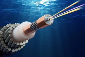 Nhà mạng cam kết gì khi cáp quang biển gặp sự cố? 