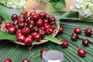 Nước ép cherry giúp điều trị bệnh gout