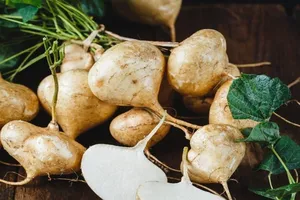 Ăn củ đậu giúp giảm cân và quản lý huyết áp