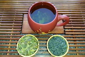 Tác dụng của việc bổ sung trà xanh đối với bệnh béo phì