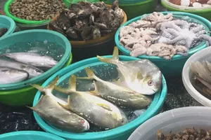 Loại chất béo tốt cho sức khỏe tim mạch