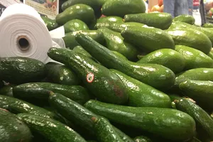 Ăn một quả bơ mỗi ngày tốt cho sức khỏe đường ruột