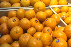 Thực phẩm bạn không bao giờ nên ăn vào bữa sáng