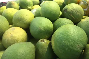 Bưởi giúp bảo vệ hệ thống miễn dịch và giảm nguy cơ mắc bệnh