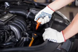 Ảnh: DEPOSITPHOTOS