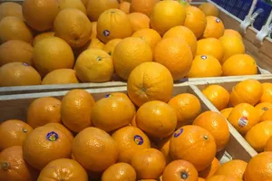 Bổ sung 5 thực phẩm này vào bữa ăn giúp chống ung thư