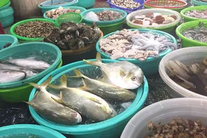 Những thực phẩm tốt nhất nên ăn để duy trì tuổi trẻ