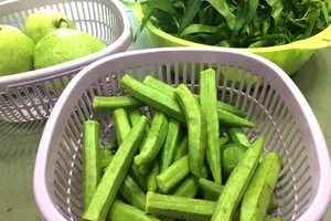  Chế độ ăn giàu thực vật, ít muối làm giảm huyết áp