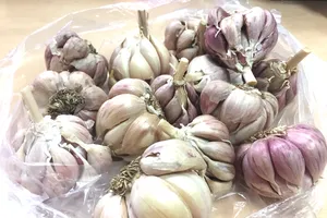 7 thói quen phổ biến này có thể gây hại cho sức khỏe đường ruột