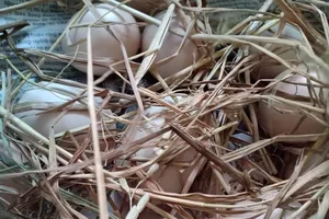 6 cách để ngăn ngừa bệnh tiểu đường loại 2