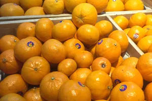 Ngoài bổ sung vitamin C, cam còn giúp giảm nguy cơ mắc một số bệnh mãn tính