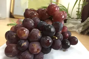 Loại trái cây quen thuộc có thể giúp giảm mức cholesterol trong máu