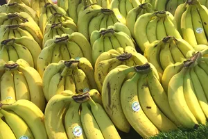 Những lợi ích sức khỏe đáng kinh ngạc của chuối