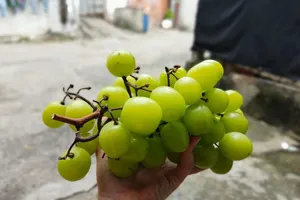 8 loại trái cây nên ăn để đẩy lùi bệnh gan nhiễm mỡ