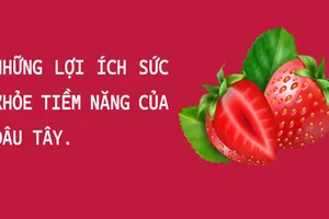 Những lợi ích sức khỏe bất ngờ của dâu tây