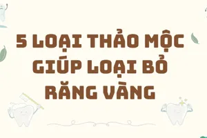 5 loại thảo mộc giúp loại bỏ tình trạng răng vàng