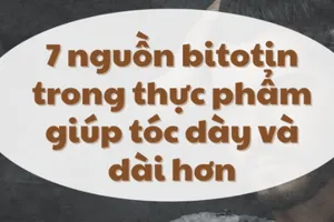 7 nguồn bitotin trong thực phẩm giúp hạn chế hói đầu