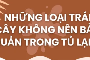 Những loại trái cây không nên bảo quản trong tủ lạnh