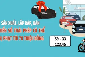 Sản xuất, lắp ráp, bán biển số trái phép có thể bị phạt tới 70 triệu đồng