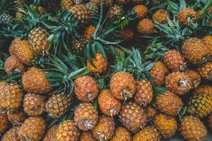 7 loại trái cây mọng nước giúp cải thiện sức khỏe vượt trội