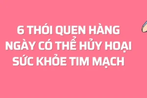 6 thói quen hàng ngày có thể hủy hoại sức khỏe tim mạch