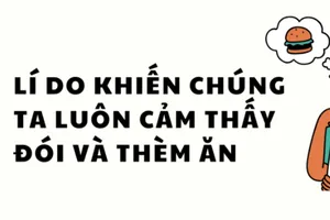 Lí do khiến chúng ta luôn cảm thấy đói và thèm ăn