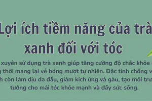 Lợi ích tiềm năng của trà xanh đối với tóc
