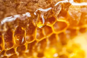Lợi ích sức khỏe bất ngờ của mật ong