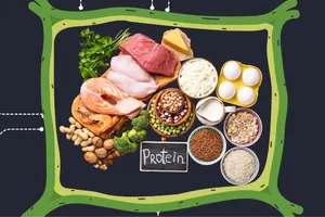 Bạn không ăn đủ protein nếu có 6 triệu chứng này