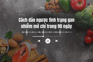 Cách đảo ngược tình trạng gan nhiễm mỡ chỉ trong 90 ngày 