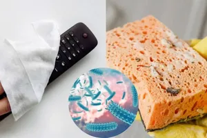 Bạn sẽ giật mình khi biết những vật dụng này còn bẩn hơn cả bệ bồn cầu