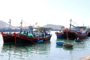 Tàu đánh bắt cá neo đậu ở cảng cá Ninh Chữ, huyện Ninh Hải, tỉnh Ninh Thuận