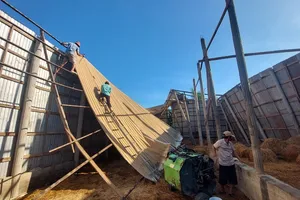 Mưa giông lốc xoáy làm 19 căn nhà ở Long An tốc mái