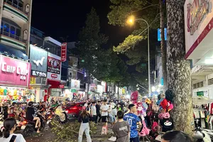 Đang đứng bán hàng thì bị nhánh cây rơi trúng đầu