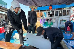 Ngư dân Quảng Ngãi đưa đá xuống hầm chứa để chuẩn bị cho chuyến đánh bắt.