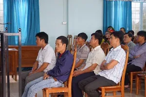 Mai xử vụ 'cưa gỗ khô trong rừng bị kết tội trộm cắp'