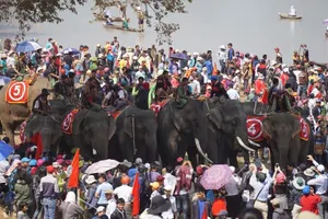 Hàng ngàn khán giả náo nhiệt xem đua voi Đắk Lắk 
