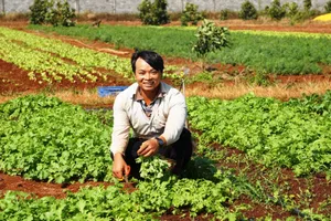 Kỹ sư nông nghiệp đi bắt từng con sâu 