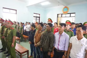 Vụ cưa gỗ khô trong rừng: Tòa vẫn tuyên có tội