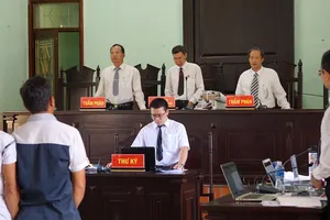 Vụ cưa cây gỗ khô: Các thẩm phán đã hết bệnh 