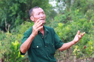 Lý do tòa Cấp cao huỷ 2 bản án kết tội 6 cựu chiến binh