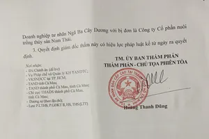 VKS muốn xử lý hình sự, tòa không chịu